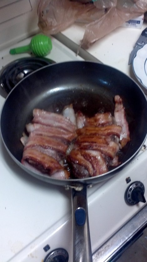 Bacon wrapped Muscovy duck breast anyone?