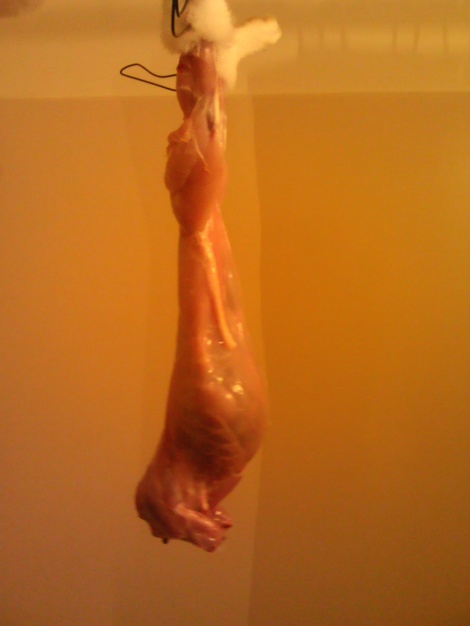 This is the skinned rabbit hanging up.