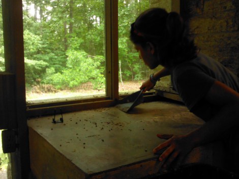The girls wanted to clean up after the animals.