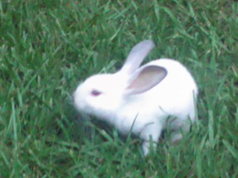 I'm sexy and I know it! Watch the little girls coo!