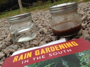 Runoff from a rain garden  (right), is much clearer than the rain going into the garden (left)