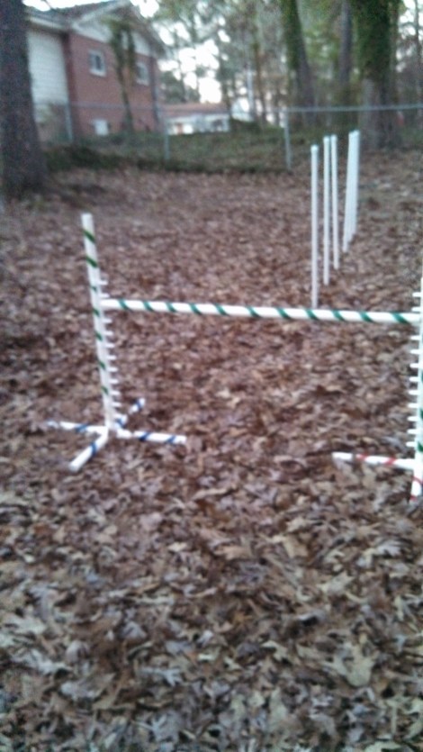 This is the agility equipment my friend lent me.. 