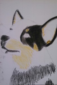 The oranges were blended with grey under the eyes.