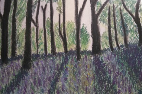When I lived in Scotland, we had a beautiful forest, with an under-story filled with the purple heather fields.  They were so fragrant and beautiful at sunrise. 