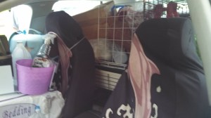 Backseat is crammed full as well... I really need a bigger car!