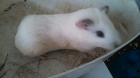 IMG_20140822_101127_270.jpg image