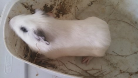 IMG_20140822_101537_805.jpg image