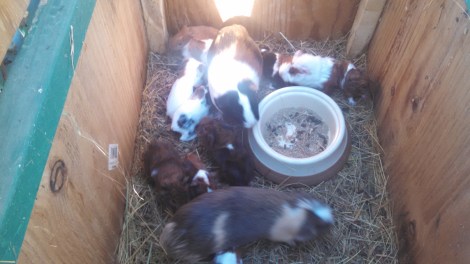 IMG_20141021_095458_220