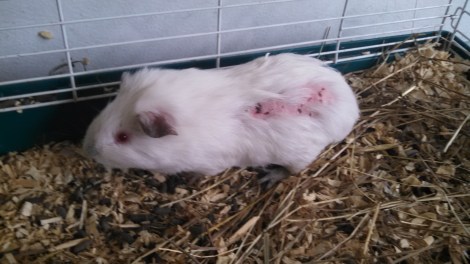 IMG_20141111_110427_320