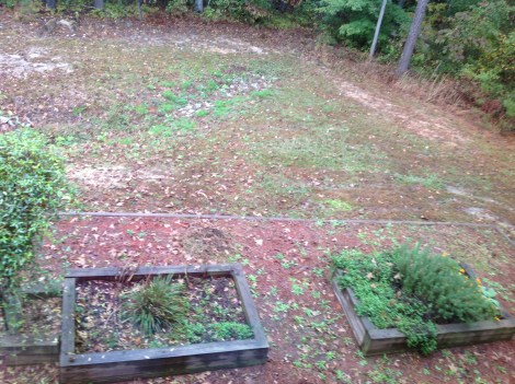 Before the construction