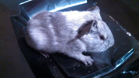 IMG_20141219_172821_765