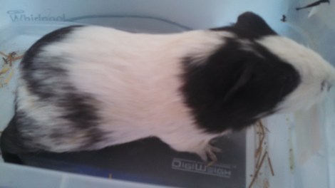 IMG_20141227_121527_363