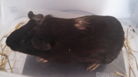 IMG_20141227_121602_311