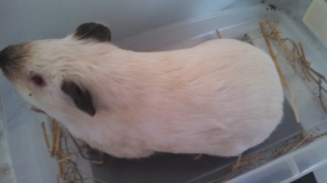 IMG_20141227_121952_230