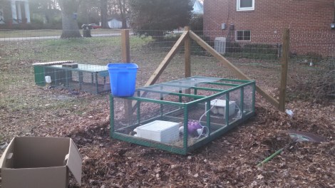 IMG_20141231_153724_804