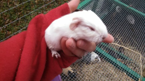 IMG_20141209_111539_705.jpg image