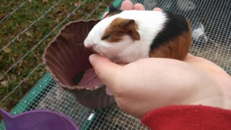 IMG_20141209_111556_315.jpg image