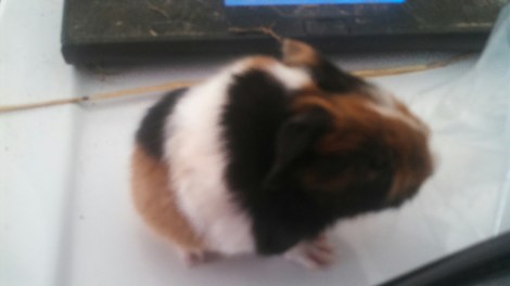 IMG_20150201_104603_545.jpg image