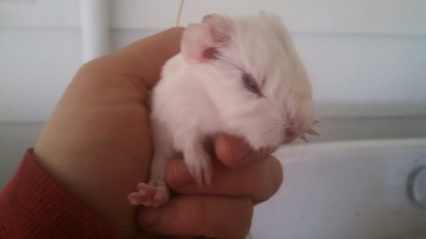 IMG_20150201_104635_595.jpg image