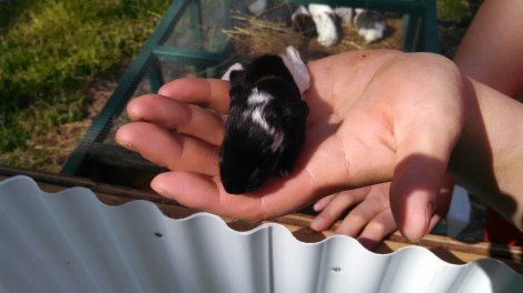 IMG_20150330_154338_374