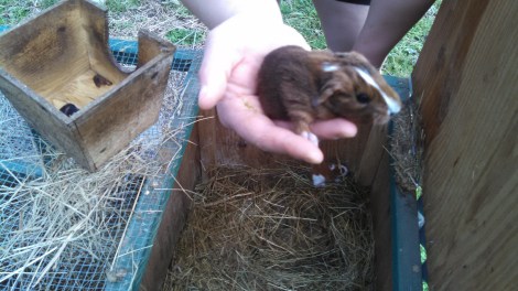 IMG_20150330_154400_909