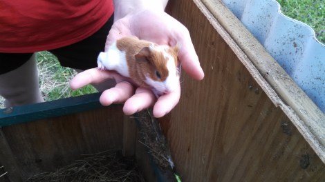 IMG_20150330_154418_587