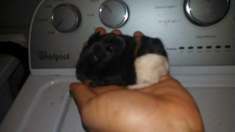 IMG_20150313_215516_641.jpg image