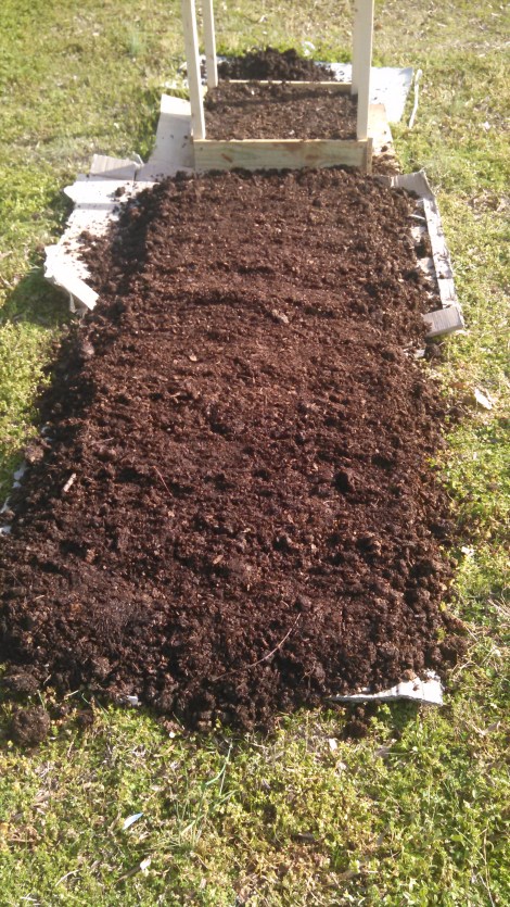 IMG_20150405_172850_165.jpg image