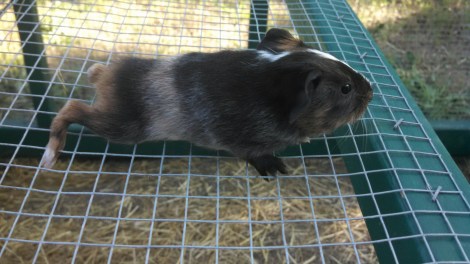 IMG_20150525_172853_109.jpg image