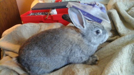 20160131_113957.jpg image