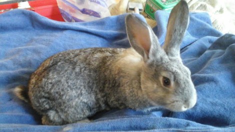 20160131_121246.jpg image