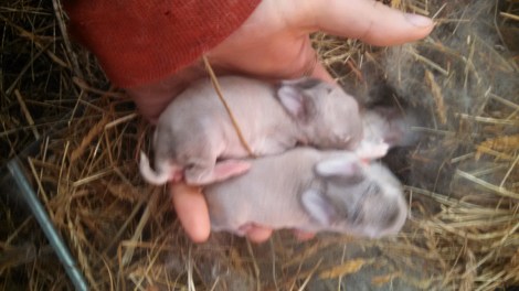 IMG_20160211_114540_095