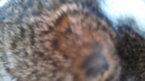 IMG_20160211_125221_645