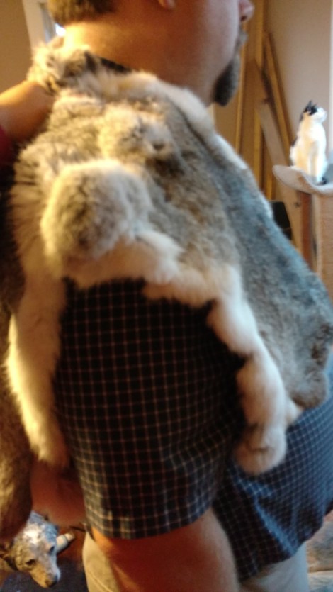 IMG_20160413_194121406