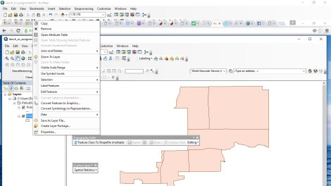 Figure 3: This shows the addition to the ArcMap context menu (I added Exclude Unselected Features).