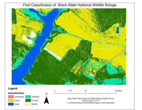Figure 2: The initial image classification raster file. Notice that water is often misclassified as swampland, as are the shadows on the orthophoto. However, it is a fairly good representation of the  area.