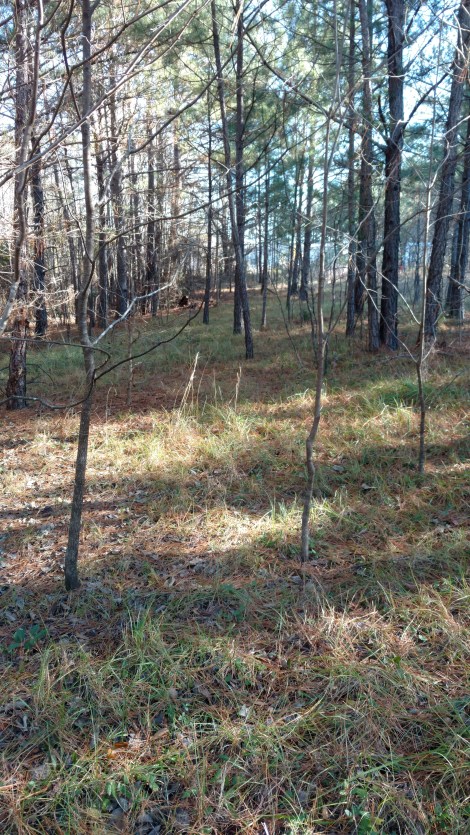 img_20161229_140302186