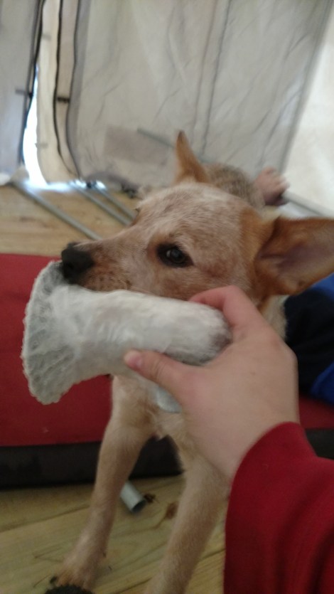 img_20170101_124429820