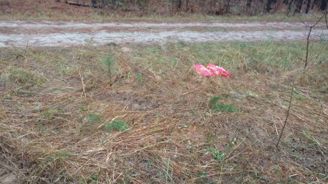 img_20170102_125935760