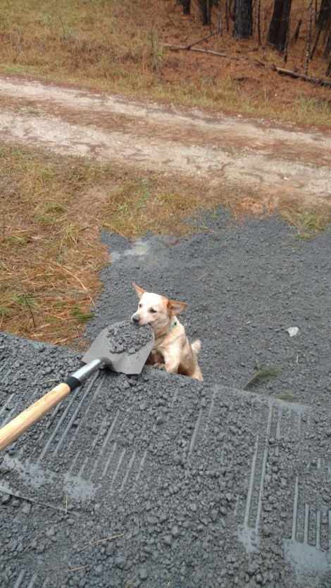 img_20170102_133533076